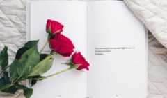 roses-on-open-book