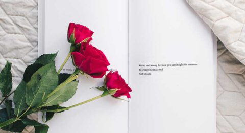 roses-on-open-book